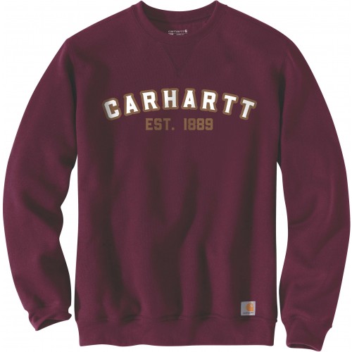 Carhartt långärmad t-shirt med grafiskt tryck